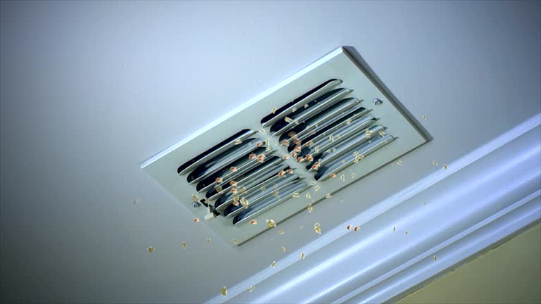 Best HVAC System Cleaning  in White Hall, IL