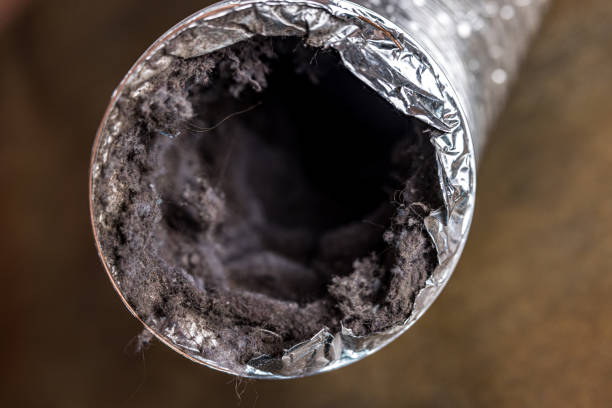 Best Commercial HVAC Duct Cleaning  in White Hall, IL