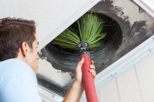 Best Ventilation Cleaning Services  in White Hall, IL