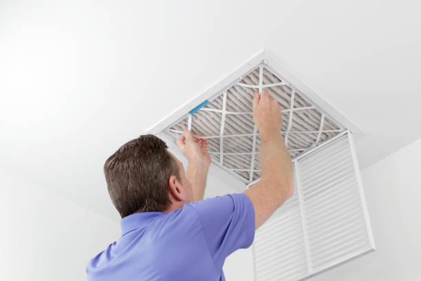 Best Air Duct Mold Removal  in White Hall, IL
